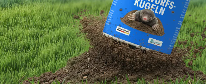 Premium A+ Content für Futum, Bahn 2
