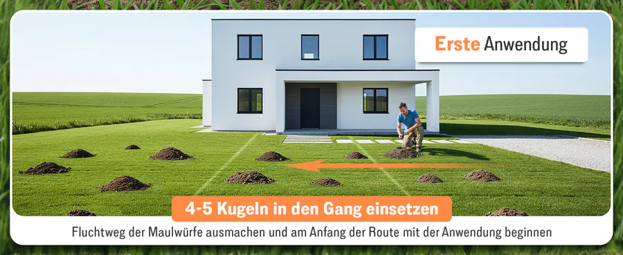 Premium A+ module 3 for Mole repellent balls by FUTUM
