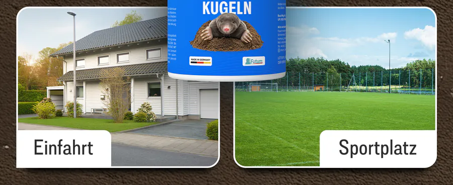 Premium A+ module 6 for Mole repellent balls by FUTUM