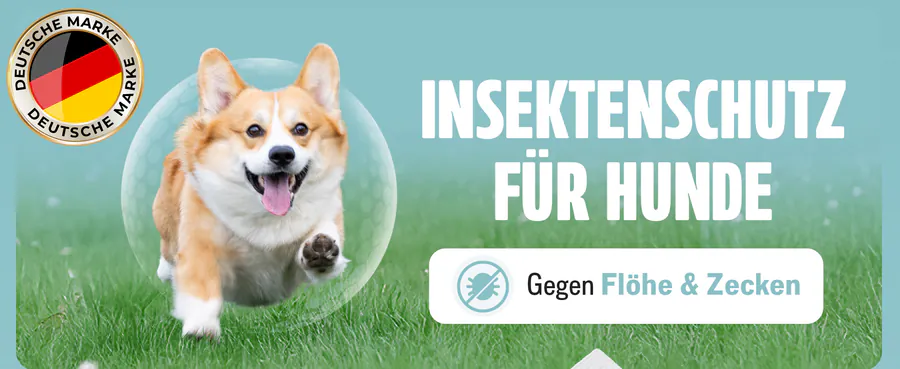 Premium A+ module 1 for Spot-on for dogs by FUTUM
