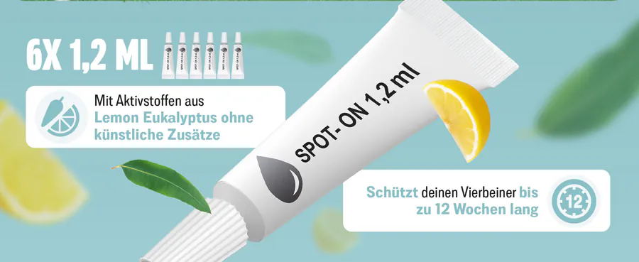 Premium A+ module 2 for Spot-on for dogs by FUTUM