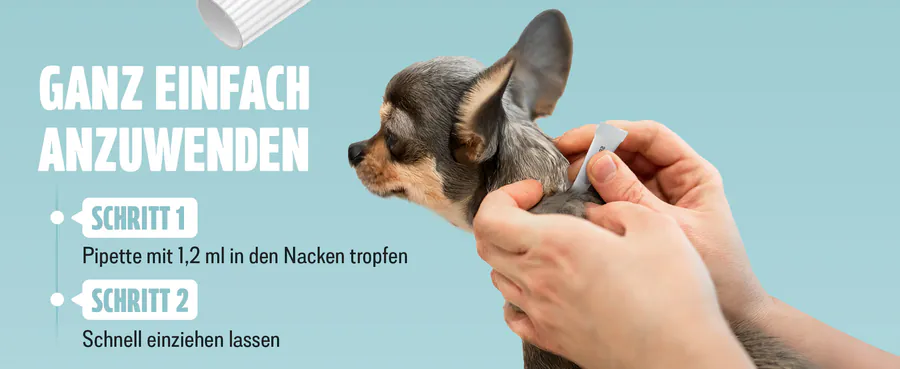 Premium A+ module 3 for Spot-on for dogs by FUTUM