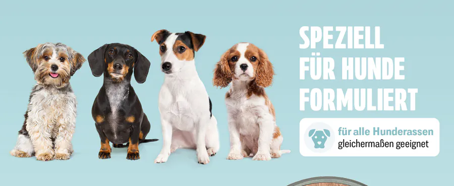 Premium A+ module 4 for Spot-on for dogs by FUTUM