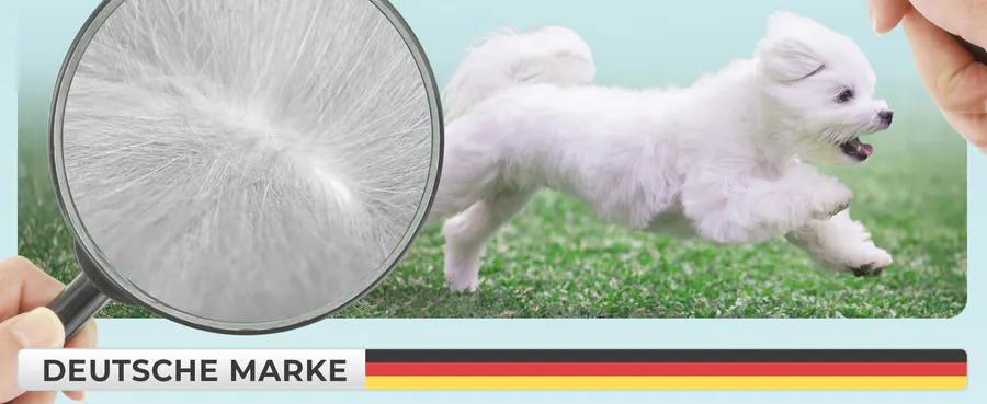 Premium A+ module 6 for Spot-on for dogs by FUTUM